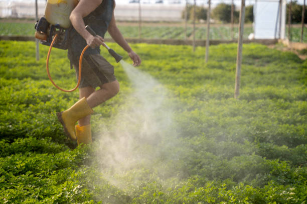 Best Commercial Pest Control Services  in Agoura Hills, CA