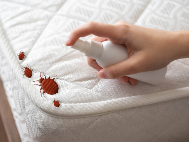 Best Pest Control for Businesses  in Agoura Hills, CA