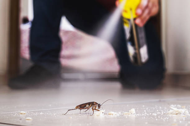 Professional Pest Control in Agoura Hills, CA