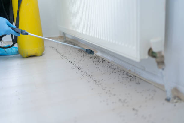  Agoura Hills, CA Pest Control Pros